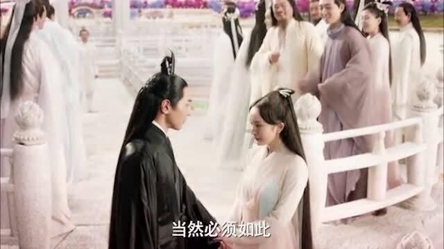 怎么判断猫咪冷不冷-专业问答社区